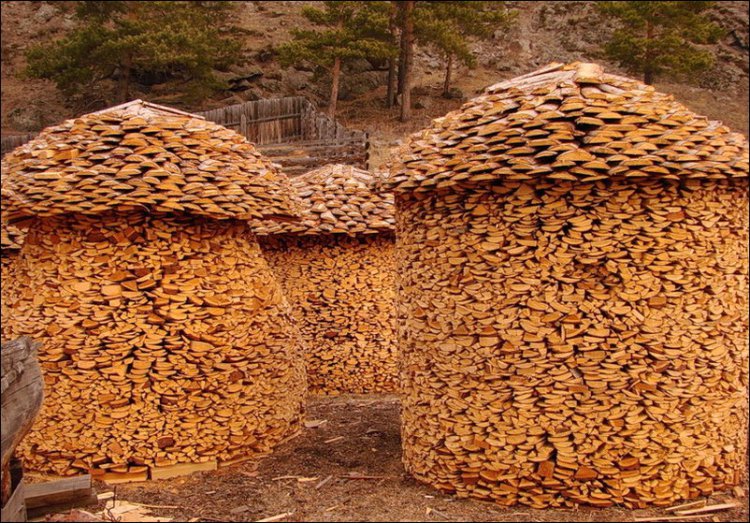 Stacking Firewood - Stacking Firewood
