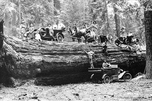 Before Chainsaws - Before Chainsaws