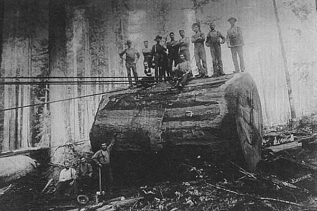 Before Chainsaws - Before Chainsaws